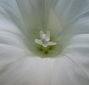 IMG_7097