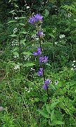 IMG_2932