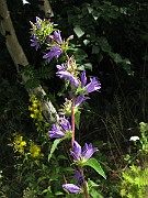 IMG_2943