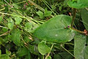 IMG_2846