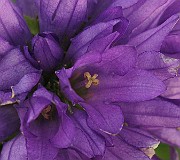 IMG_4892