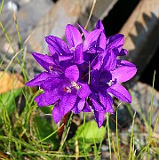 IMG_6648