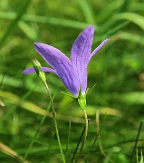 IMG_0163