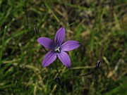 IMG_1619