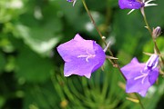 IMG_0251