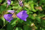 IMG_0253