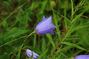 IMG_0255