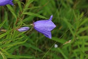 IMG_0256