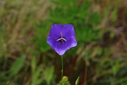 IMG_0257