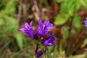 IMG_0238