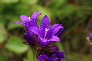 IMG_0240