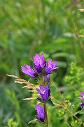 IMG_0258