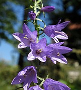 IMG_1160
