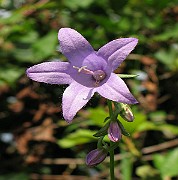 IMG_3699