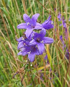 IMG_6978