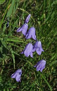 IMG_0136
