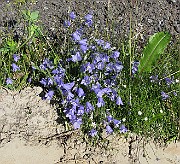 IMG_6191