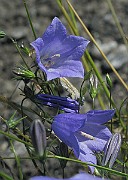 IMG_6194