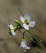 IMG_7577