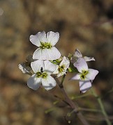 IMG_9213