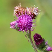 IMG_6862