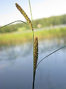 IMG_3794