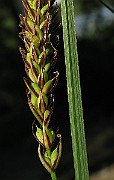 IMG_3798