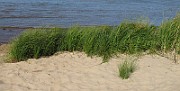 IMG_9936