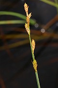 IMG_0522