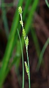 IMG_0014