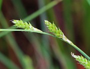 IMG_0015b