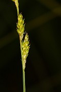 IMG_0029