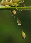 IMG_1650