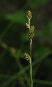 IMG_1653