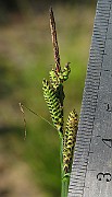 IMG_4104