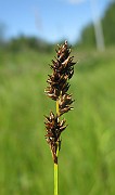 IMG_4163