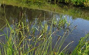 IMG_4164