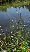IMG_4169