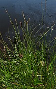 IMG_4171
