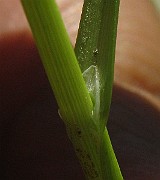 IMG_4174
