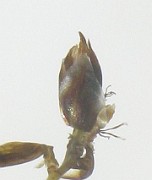 IMG_4179