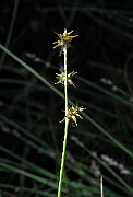 IMG_5501
