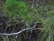 IMG_5502
