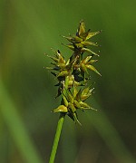 IMG_7760
