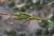 IMG_0462