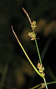 IMG_4151