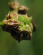 IMG_8072