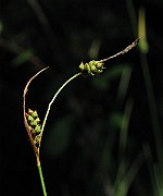 IMG_8073