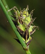 IMG_7203