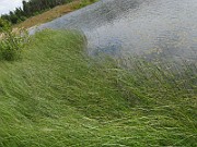 IMG_7204